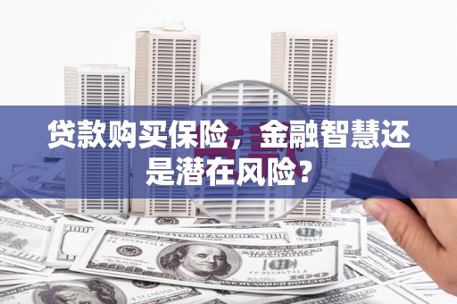 温州贷款购买保险，金融智慧还是潜在风险？