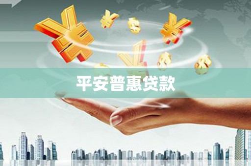 温州平安普惠贷款