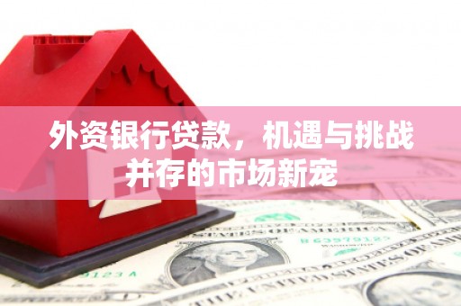 温州外资银行贷款，机遇与挑战并存的市场新宠