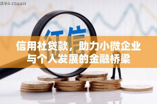 温州信用社贷款，助力小微企业与个人发展的金融桥梁