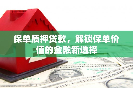 温州保单质押贷款，解锁保单价值的金融新选择