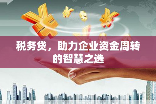 温州税务贷，助力企业资金周转的智慧之选
