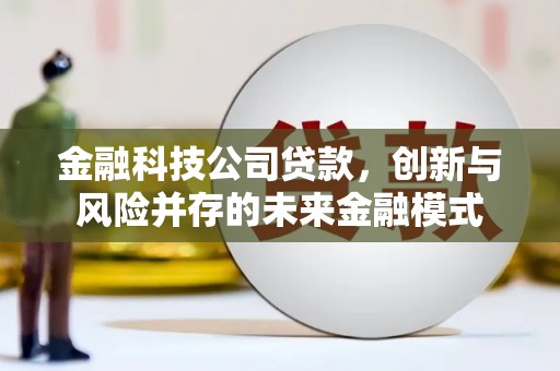温州金融科技公司贷款，创新与风险并存的未来金融模式