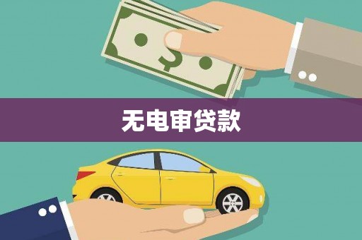 温州无电审贷款