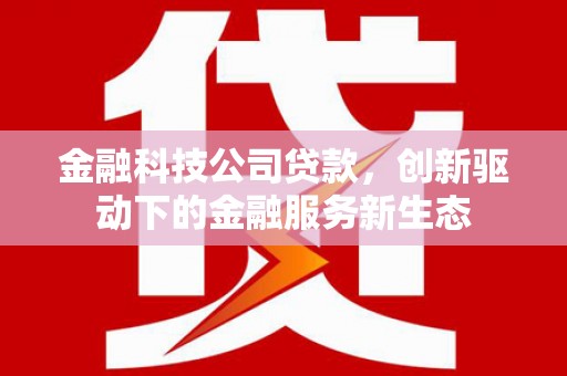 温州金融科技公司贷款，创新驱动下的金融服务新生态