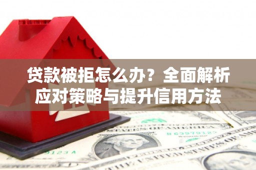 温州贷款被拒怎么办？全面解析应对策略与提升信用方法