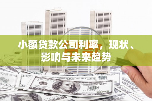 温州小额贷款公司利率，现状、影响与未来趋势