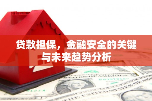 温州贷款担保，金融安全的关键与未来趋势分析
