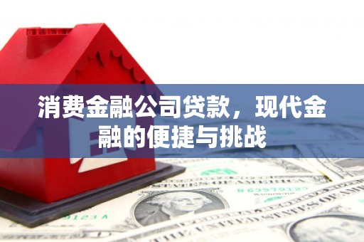 温州消费金融公司贷款，现代金融的便捷与挑战