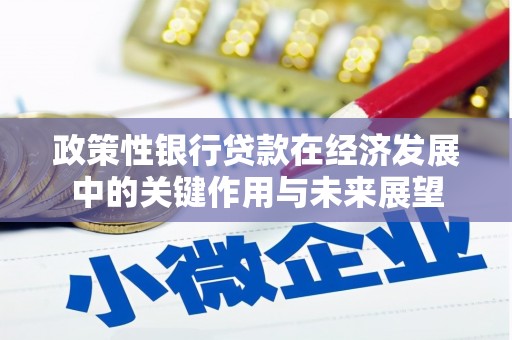 温州政策性银行贷款在经济发展中的关键作用与未来展望