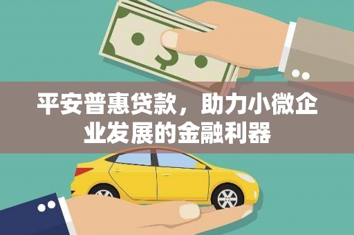 温州平安普惠贷款，助力小微企业发展的金融利器