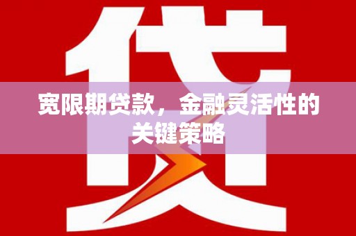 温州宽限期贷款，金融灵活性的关键策略