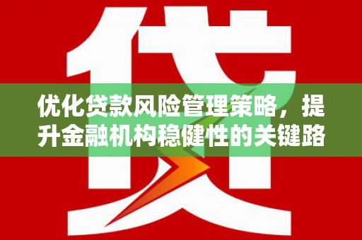 温州优化贷款风险管理策略，提升金融机构稳健性的关键路径
