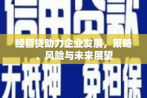 温州经营贷助力企业发展，策略、风险与未来展望