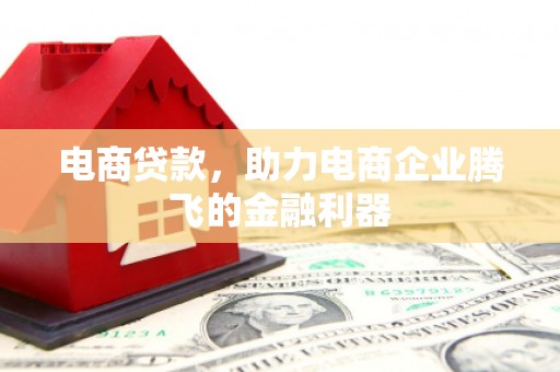 温州电商贷款，助力电商企业腾飞的金融利器