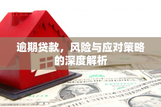 温州逾期贷款，风险与应对策略的深度解析