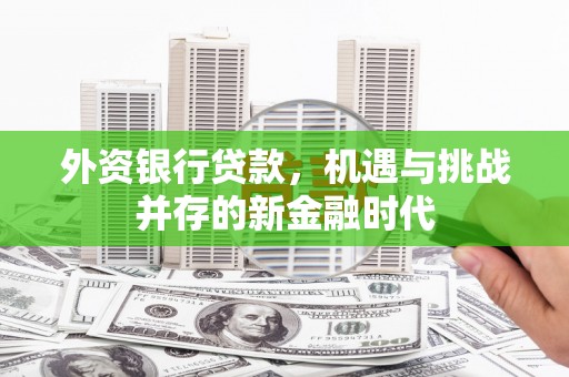 温州外资银行贷款，机遇与挑战并存的新金融时代