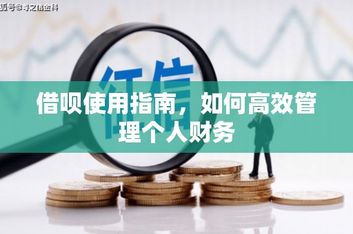 温州借呗使用指南，如何高效管理个人财务