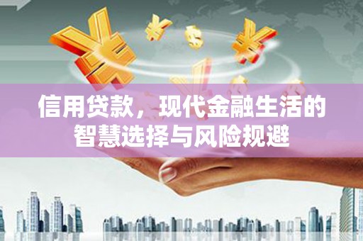 温州信用贷款，现代金融生活的智慧选择与风险规避