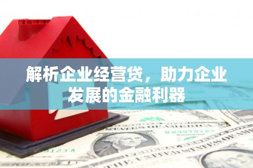 温州解析企业经营贷，助力企业发展的金融利器