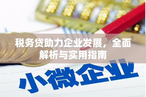 温州税务贷助力企业发展，全面解析与实用指南