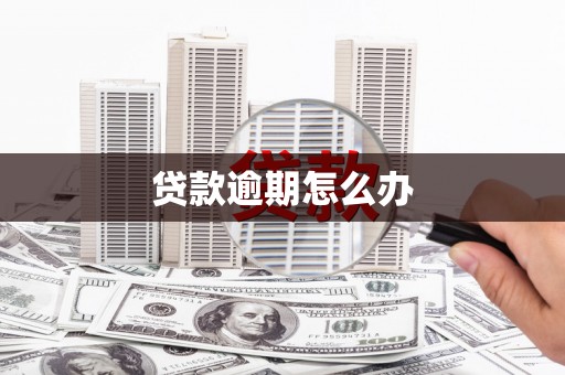 温州贷款逾期怎么办