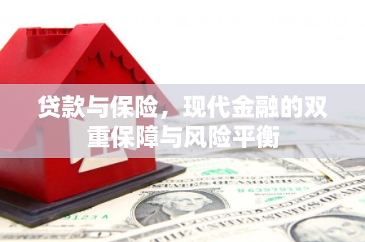 温州贷款与保险，现代金融的双重保障与风险平衡