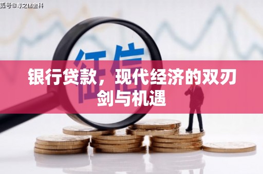 温州银行贷款，现代经济的双刃剑与机遇