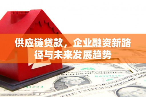 温州供应链贷款，企业融资新路径与未来发展趋势