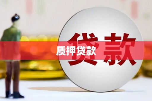 温州质押贷款