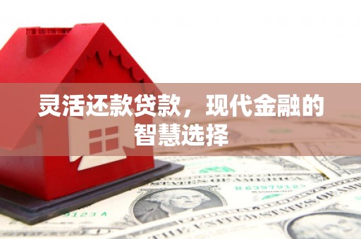 温州灵活还款贷款，现代金融的智慧选择