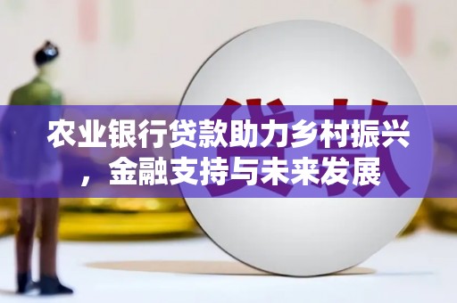 温州农业银行贷款助力乡村振兴，金融支持与未来发展