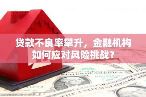 温州贷款不良率攀升，金融机构如何应对风险挑战？
