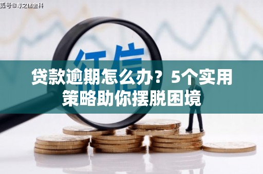 温州贷款逾期怎么办？5个实用策略助你摆脱困境