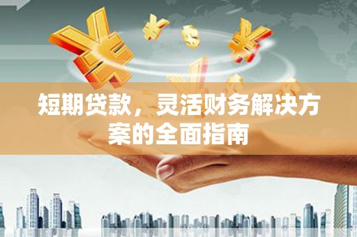 温州短期贷款，灵活财务解决方案的全面指南
