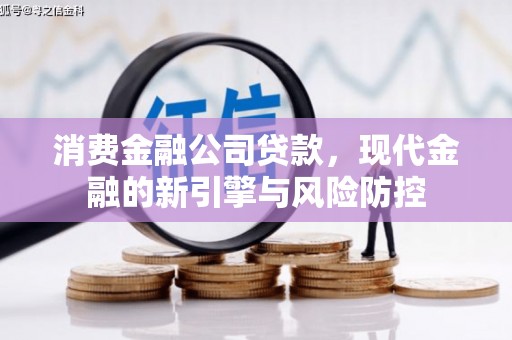 温州消费金融公司贷款，现代金融的新引擎与风险防控