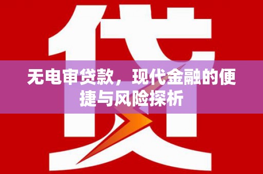 温州无电审贷款，现代金融的便捷与风险探析
