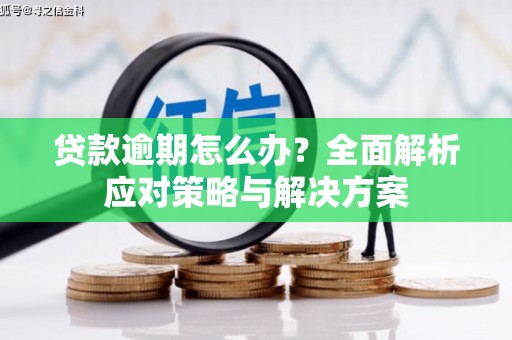 温州贷款逾期怎么办？全面解析应对策略与解决方案