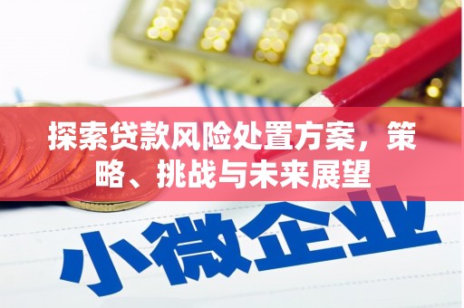 温州探索贷款风险处置方案，策略、挑战与未来展望
