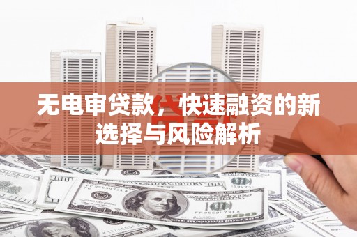 温州无电审贷款，快速融资的新选择与风险解析
