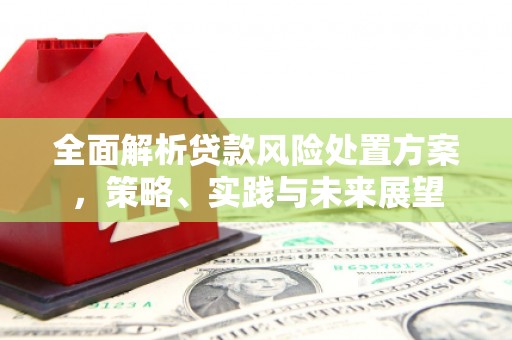 温州全面解析贷款风险处置方案，策略、实践与未来展望