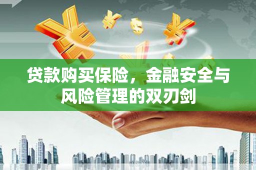温州贷款购买保险，金融安全与风险管理的双刃剑
