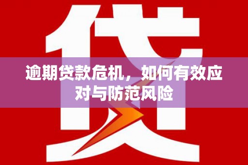 温州逾期贷款危机，如何有效应对与防范风险