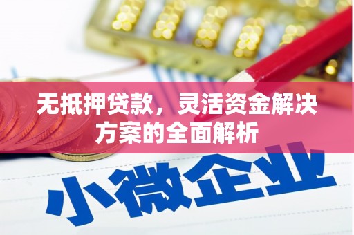 温州无抵押贷款，灵活资金解决方案的全面解析