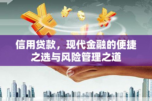 温州信用贷款，现代金融的便捷之选与风险管理之道