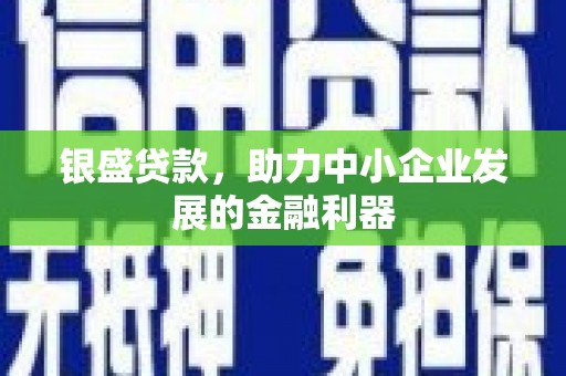 温州银盛贷款，助力中小企业发展的金融利器