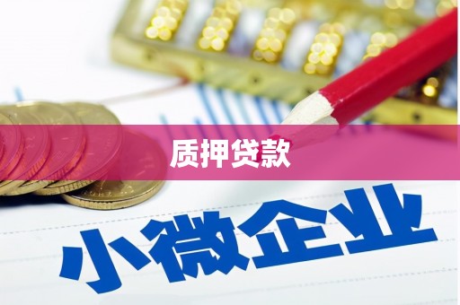 温州质押贷款