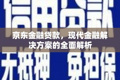 温州京东金融贷款，现代金融解决方案的全面解析