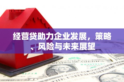 温州经营贷助力企业发展，策略、风险与未来展望