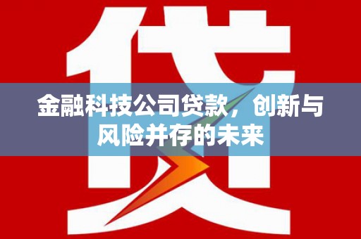 温州金融科技公司贷款，创新与风险并存的未来